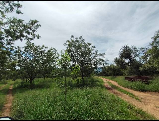 96HA FARM FOR SALE IN HEKPOORT
